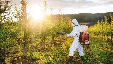 a-farmer-outdoors-in-orchard-at-sunset-using-pest-2024-10-20-09-46-30-utc (1)