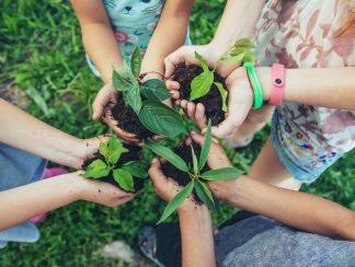 people-2024-12-21-06-00-53-utc (1)